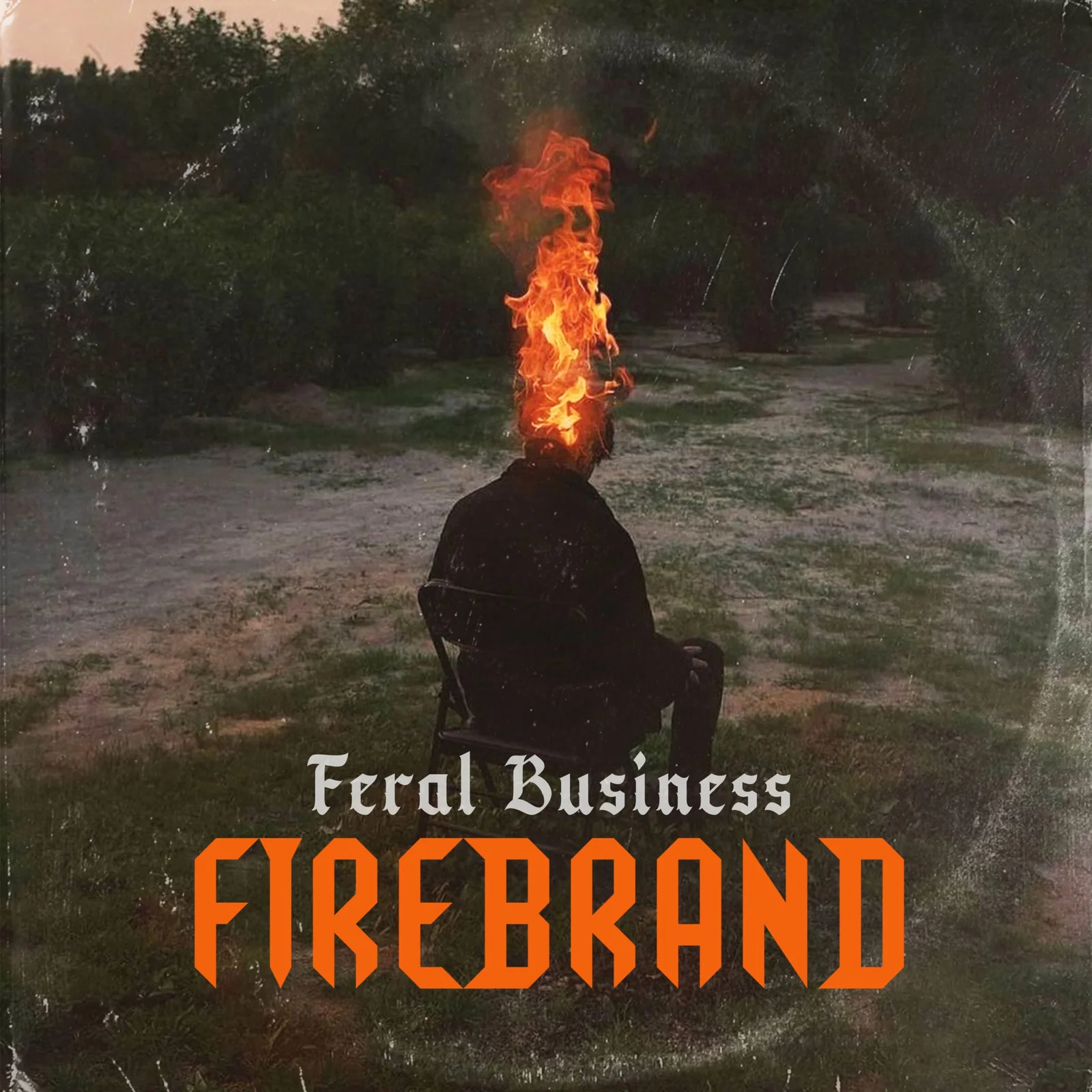Firebrand cover artwork